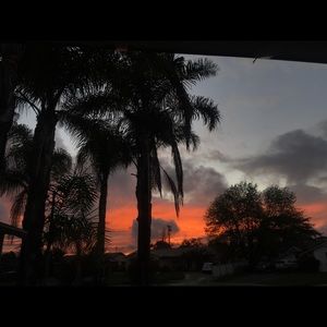 Meet your Posher, Danaya